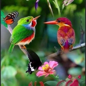 Meet your Posher, Terry